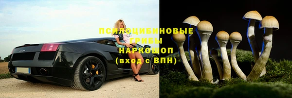 стаф Абдулино