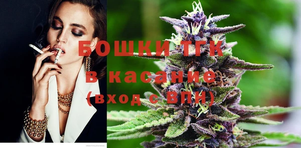 гашик Алексин